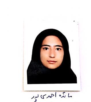 کسب مدال نقره سواد و رسانه توسط مائده احمدی پور
